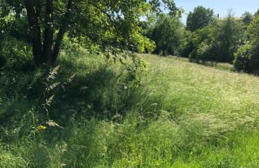 Apartment-47 Fulda - Photo 79