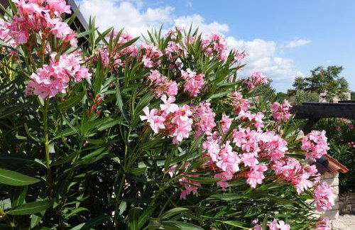 Villa Emma Smoljanci 76 - Foto 50