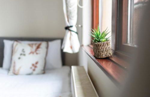 Adrian House, near Hospital, easy parking + garden - Foto 24