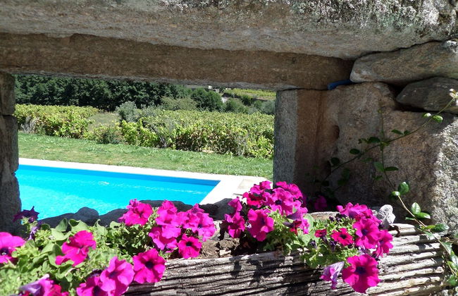 Casa Grande do Seixo - Photo 25