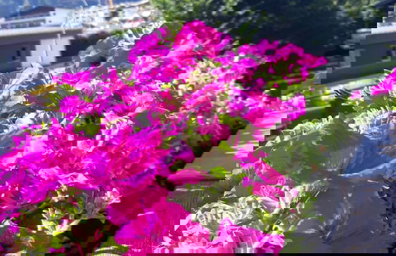 Apart Matthias - Foto 44