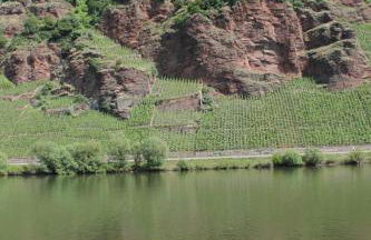 Ferienhaus Moselblick mit kostenfreien ÖPNV-Ticket - Foto 19