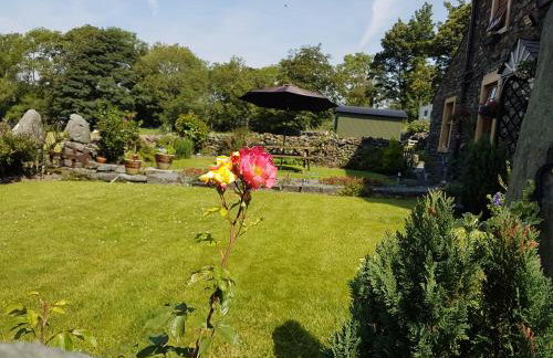 Shepherds hut Dolly wagon - Foto 20