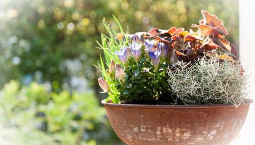 Ferienwohnung Geigl - Photo 2