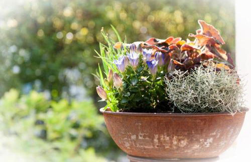 Ferienwohnung Geigl - Photo 2