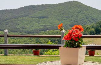 916 Mountain Resort - Foto 46