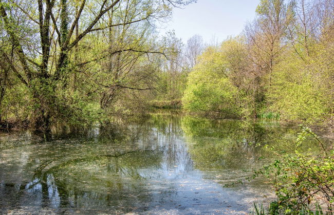 Les Collines du Quercy Blanc - Foto 79