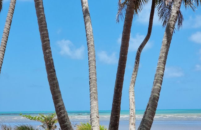 CONDOMíNIO OLIVEIRA - Photo 19