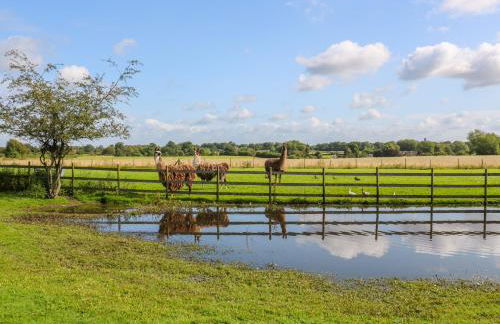 Chequer Stable - Photo 21