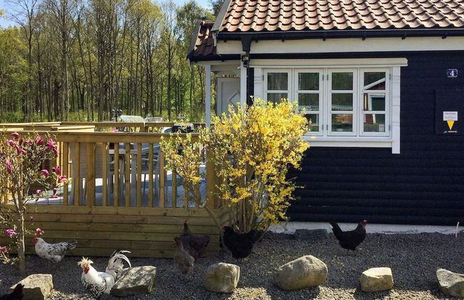 Holiday Home in Sölvesborg - Photo 21