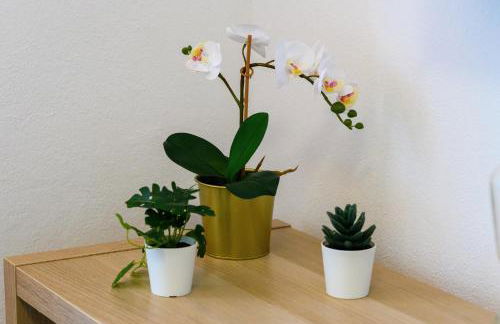 Casa do Beco - Fabulous 3 Bedroom House with an Office, Seia, Serra da Estrela - Foto 14