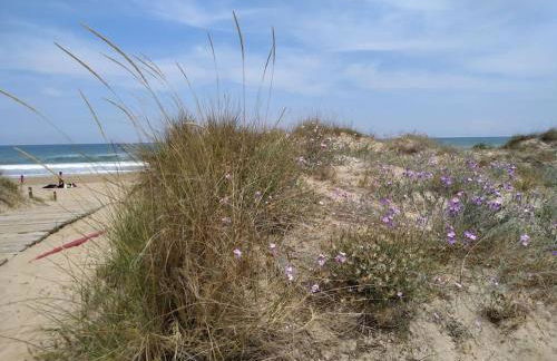 Oliva Nova - Blue Flag Beach and Golf On-Site - Foto 51