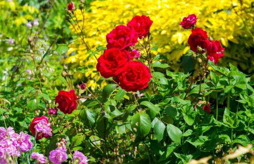 Croft House Sleeps 8 ꕤ Country Views nr Salisbury - Foto 8