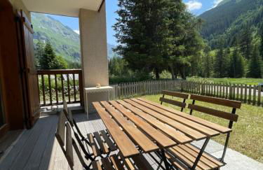 T2 vue sur le parc de la vanoise - Foto 14