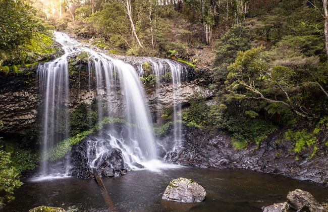 Moffat Falls Cottage - Foto 8