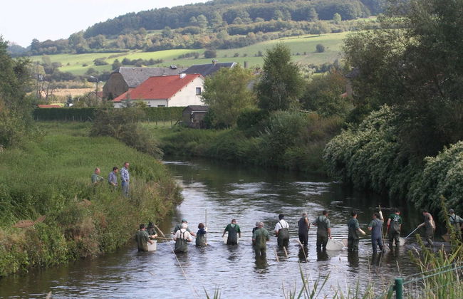 Fairytale Escape in Lamorteau - Photo 30