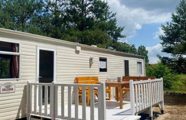 Holenderki na Zielonych Wzgórzach, Łowyń - Foto 10