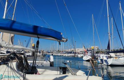 Sem Gritos - Photo 9