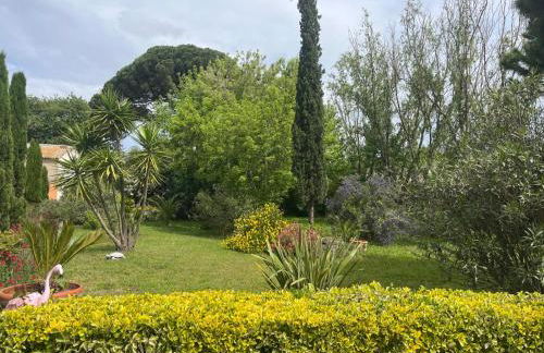 GITES - Mas Saint-Louis - Piscine chauffée - Foto 79