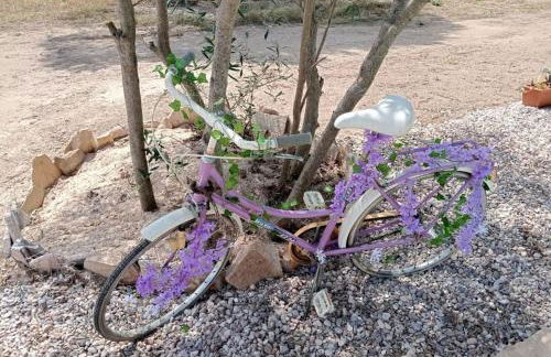 El Pinar del Rondero J&M En Plena Naturaleza - Photo 42