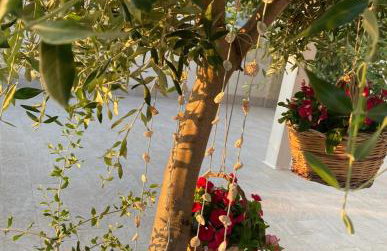 Villa Alto Mare - Foto 41