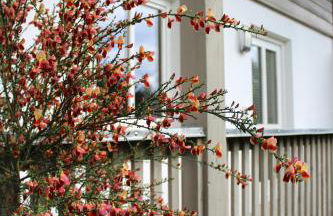 Ferienwohnung Woidblick - Foto 24