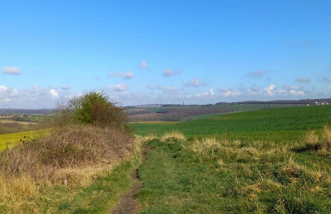 Charming Wentworth Lodge With Countryside Views - Photo 29