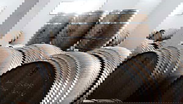 Quinta Sardonia Winery Visit - Foto 5