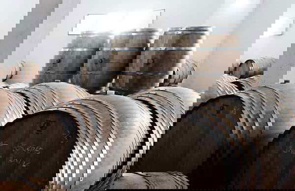 Visita a Quinta Sardonia - Foto 5