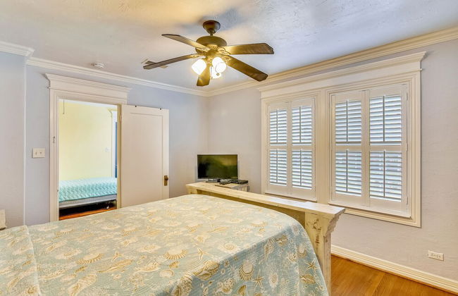 The Turquoise Turtle - Foto 7