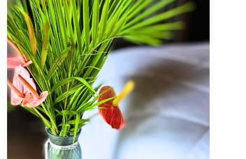 Jardim Secreto - Itaipava - Foto 42