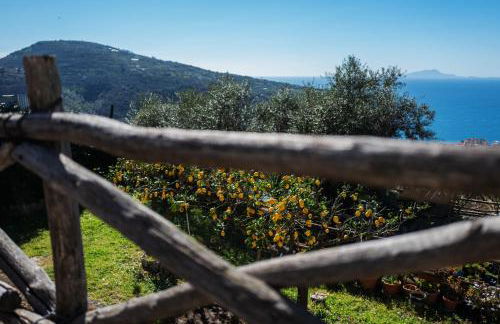 Casa Floriana - Foto 43