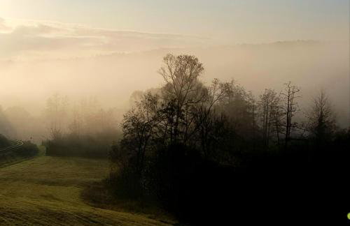 Ferienwohnung Brohltal-Aue - Foto 29