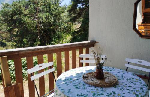 Gréolières les Neiges Studio 4 personnes - Foto 10