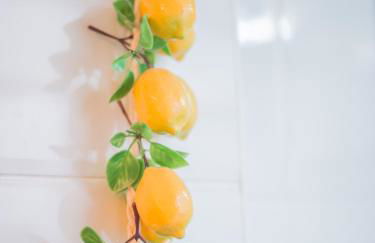 Very best flat ust 800m Postiguet-Beach - Photo 13