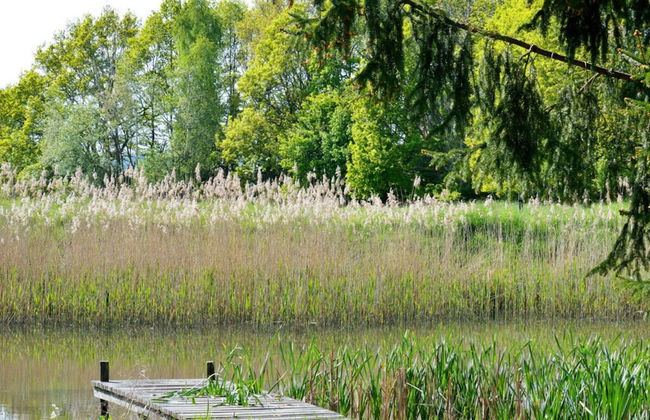 Evening sun Modern Retreat - Foto 6