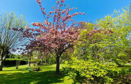 Le tulipier - Foto 5