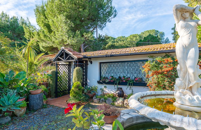 Rose Cottage - Foto 1