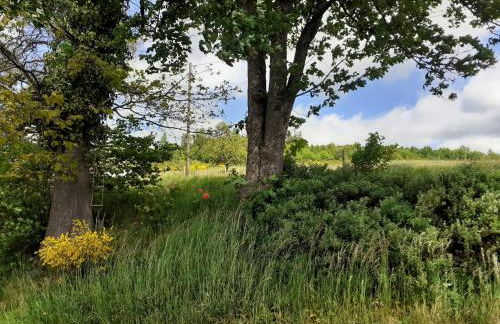 Ferienwohnung Rothaargebirge - Foto 33