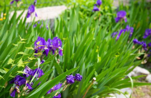 Apartmani Sabina - Foto 67