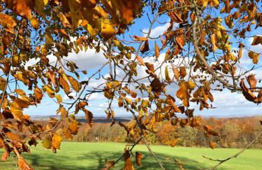 Ferienwohnung am Eggegebirge - Foto 24