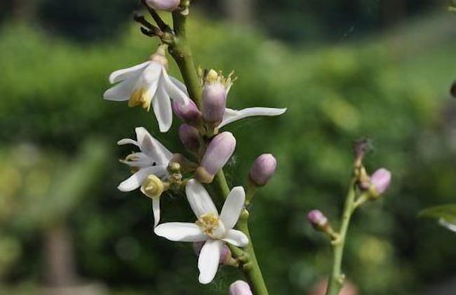 B&B River Venice - Foto 53