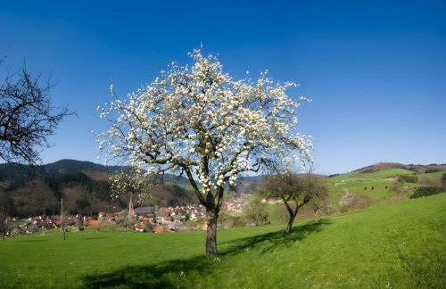 Ferienwohnung Schöner - Foto 13