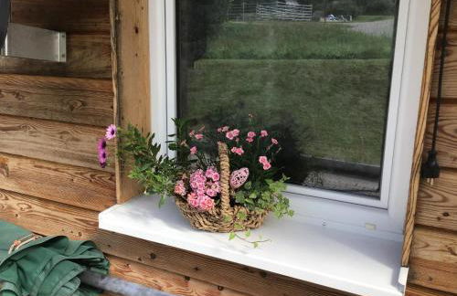 Wild Life Ranch - Foto 24