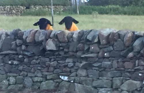 Lodge Cabin with Fabulous Views - Farm Holiday - Foto 48