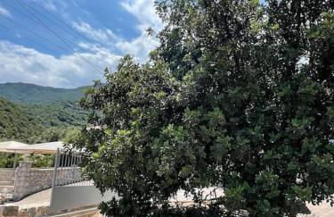 Popi s house - Photo 19