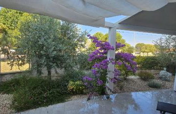 Apartman Magnolija Umag - Foto 4