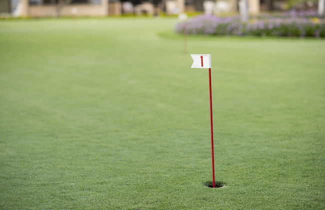 AEI at Papakea Resort Maui - Foto 26