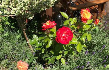 Dom wakacyjny Pawelkowo - Foto 38