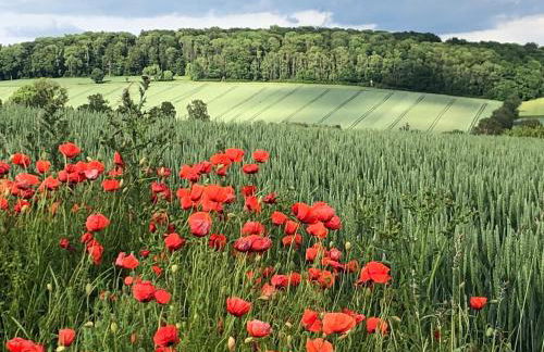 Ferienhaus Dornröschen - Foto 35